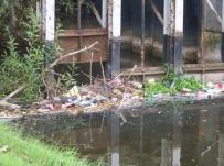 rubbish in the canal