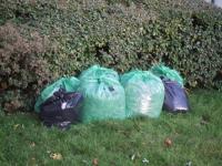 collecting the rubbish