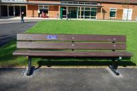 The bench