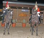 Heroes horses Heroes horses